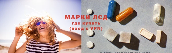 дживик Абинск