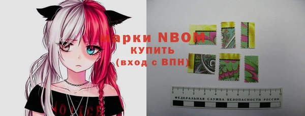 стаф Медногорск
