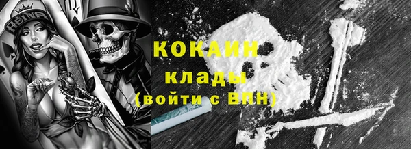 дживик Абинск