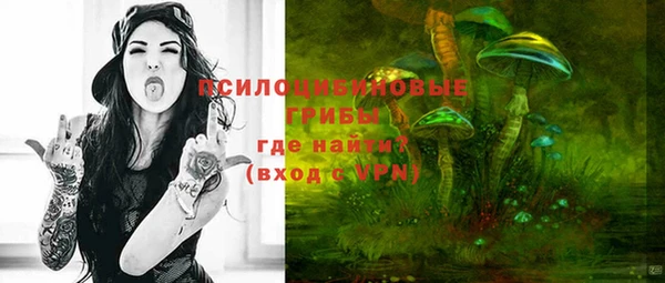 дживик Абинск