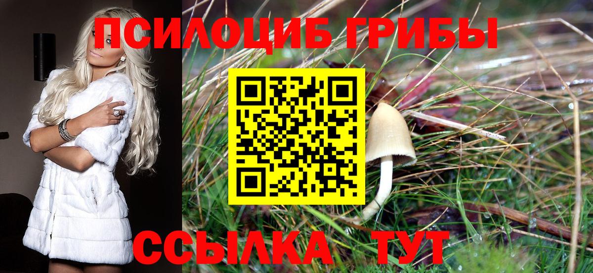 Галлюциногенные грибы GOLDEN TEACHER Комсомольск-на-Амуре
