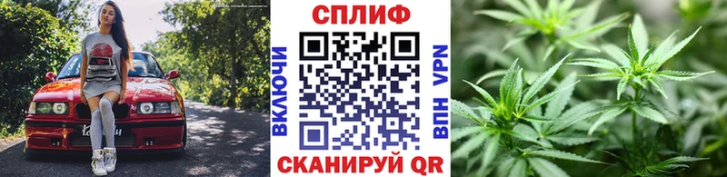 Бошки марихуана SATIVA & INDICA  где купить наркотик  Комсомольск-на-Амуре 